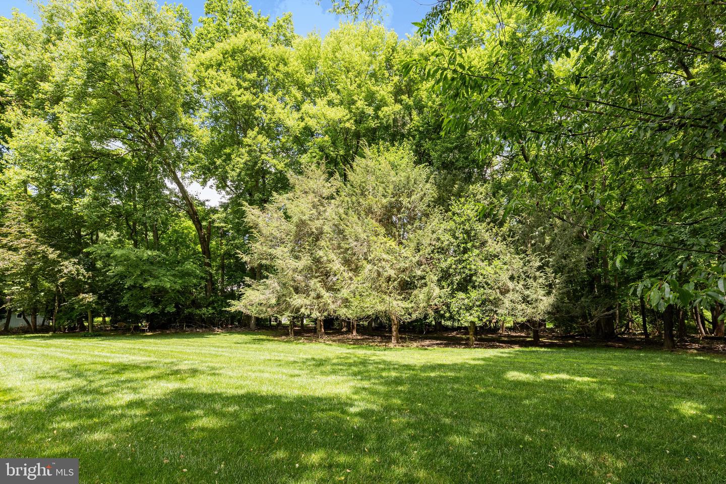 9800 ARNON CHAPEL RD, GREAT FALLS, Virginia 22066, 5 Bedrooms Bedrooms, ,4 BathroomsBathrooms,Residential,For sale,9800 ARNON CHAPEL RD,VAFX2245676 MLS # VAFX2245676