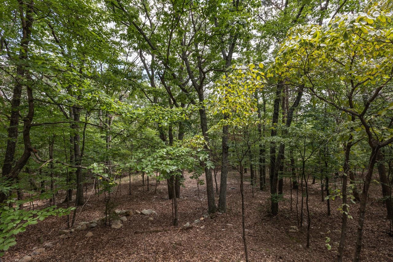 130 CONGERS LN, MCGAHEYSVILLE, Virginia 22840, 4 Bedrooms Bedrooms, ,3 BathroomsBathrooms,Residential,The Wood Stove House,130 CONGERS LN,667950 MLS # 667950