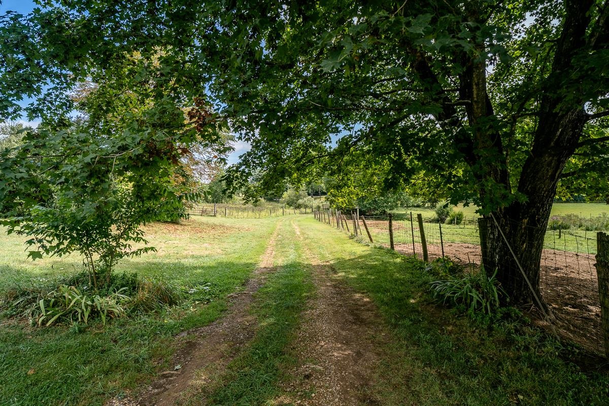 5787 BORDEN GRANT TRL, RAPHINE, Virginia 24472, 4 Bedrooms Bedrooms, ,1 BathroomBathrooms,Residential,5787 BORDEN GRANT TRL,667961 MLS # 667961