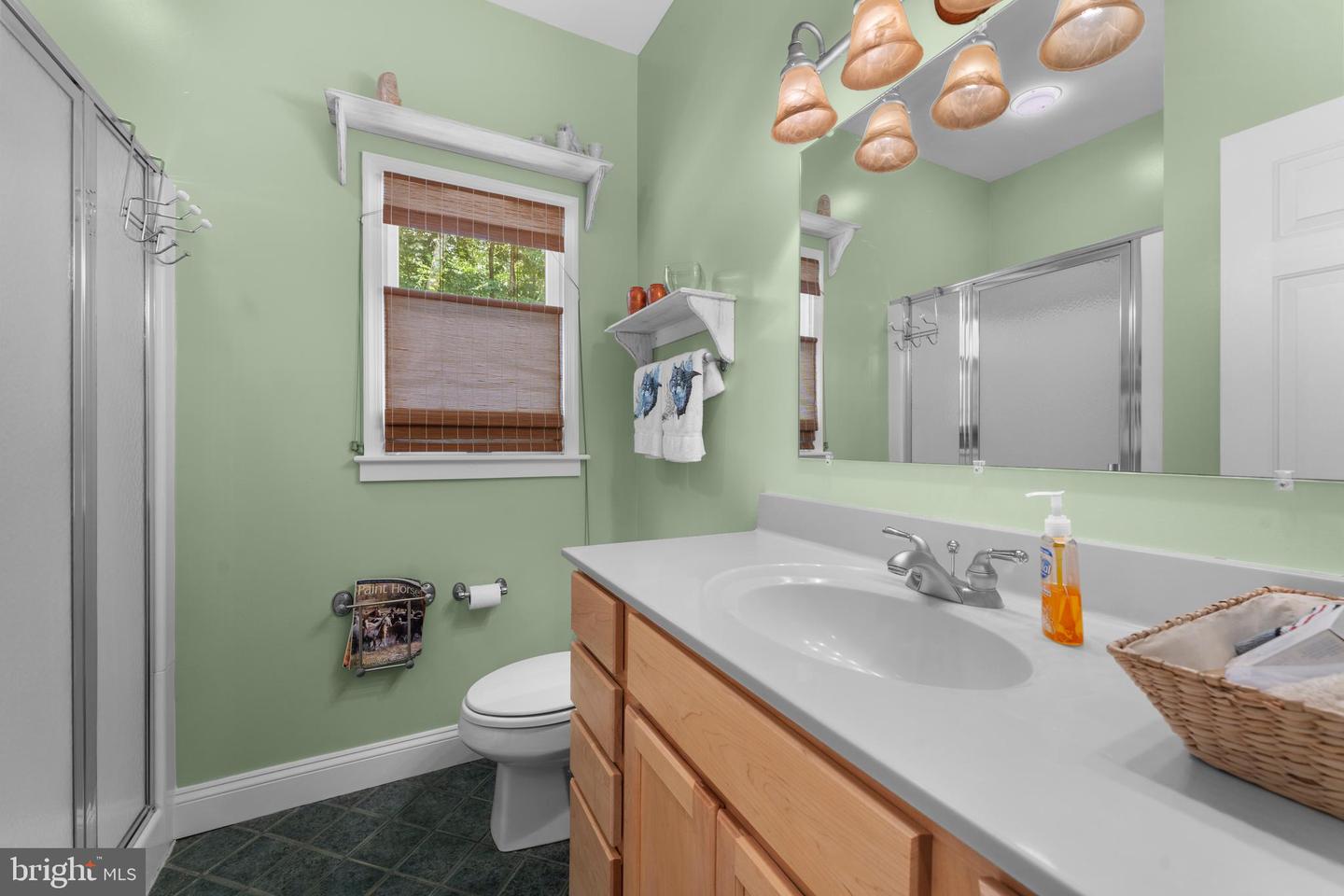 8260 RIVER HILLS LN, RIXEYVILLE, Virginia 22737, 7 Bedrooms Bedrooms, 25 Rooms Rooms,6 BathroomsBathrooms,Residential,For sale,8260 RIVER HILLS LN,VACU2011076 MLS # VACU2011076
