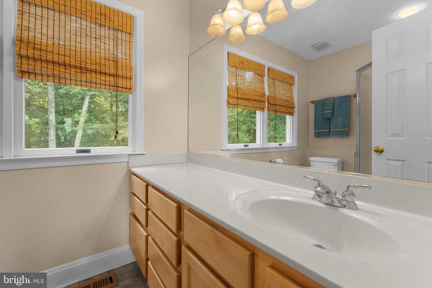 8260 RIVER HILLS LN, RIXEYVILLE, Virginia 22737, 7 Bedrooms Bedrooms, 25 Rooms Rooms,6 BathroomsBathrooms,Residential,For sale,8260 RIVER HILLS LN,VACU2011076 MLS # VACU2011076