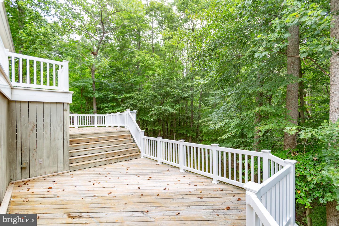 1001 FEATHERSTON CT, FREDERICKSBURG, Virginia 22401, 5 Bedrooms Bedrooms, ,4 BathroomsBathrooms,Residential,For sale,1001 FEATHERSTON CT,VAFB2008660 MLS # VAFB2008660