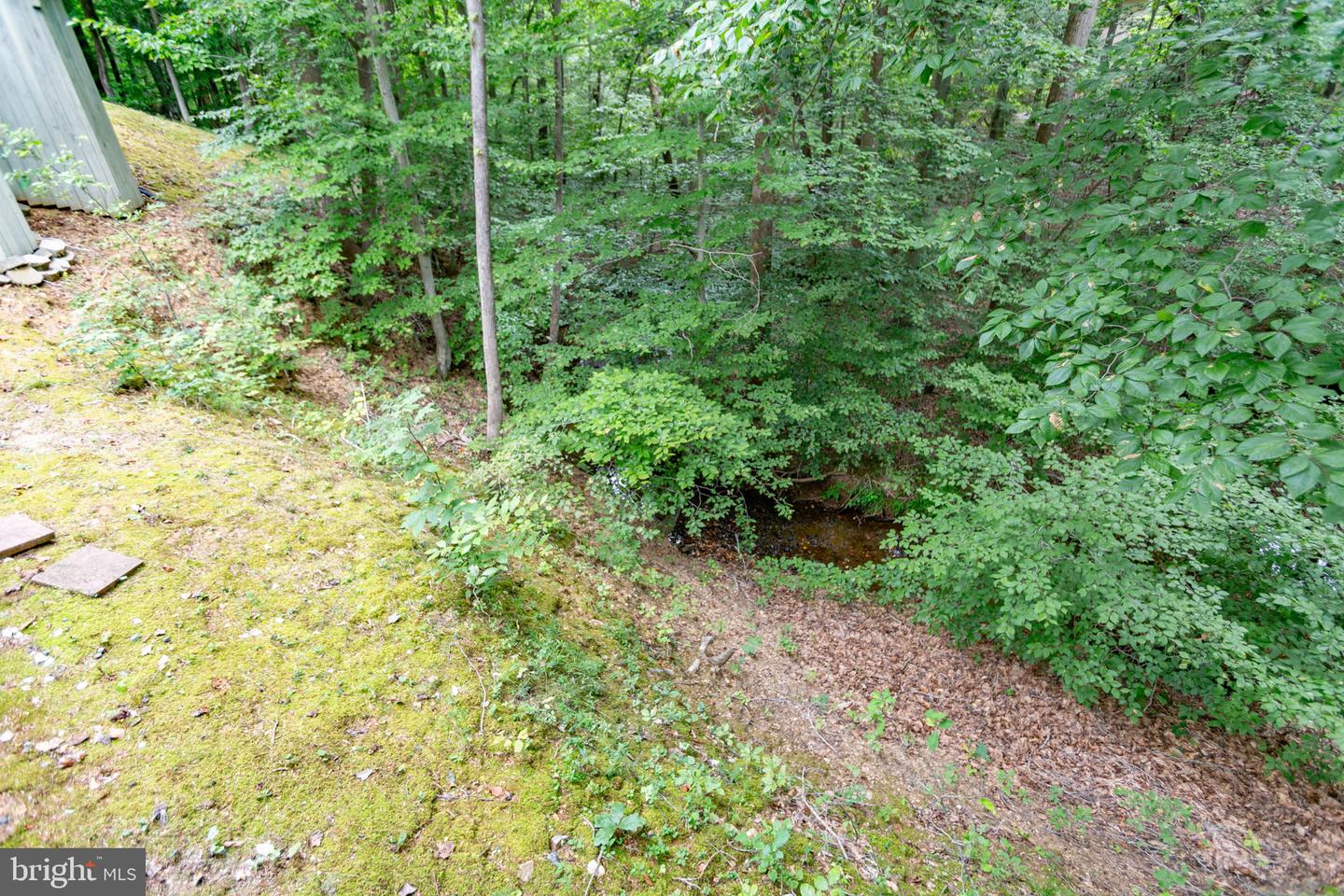 1001 FEATHERSTON CT, FREDERICKSBURG, Virginia 22401, 5 Bedrooms Bedrooms, ,4 BathroomsBathrooms,Residential,For sale,1001 FEATHERSTON CT,VAFB2008660 MLS # VAFB2008660