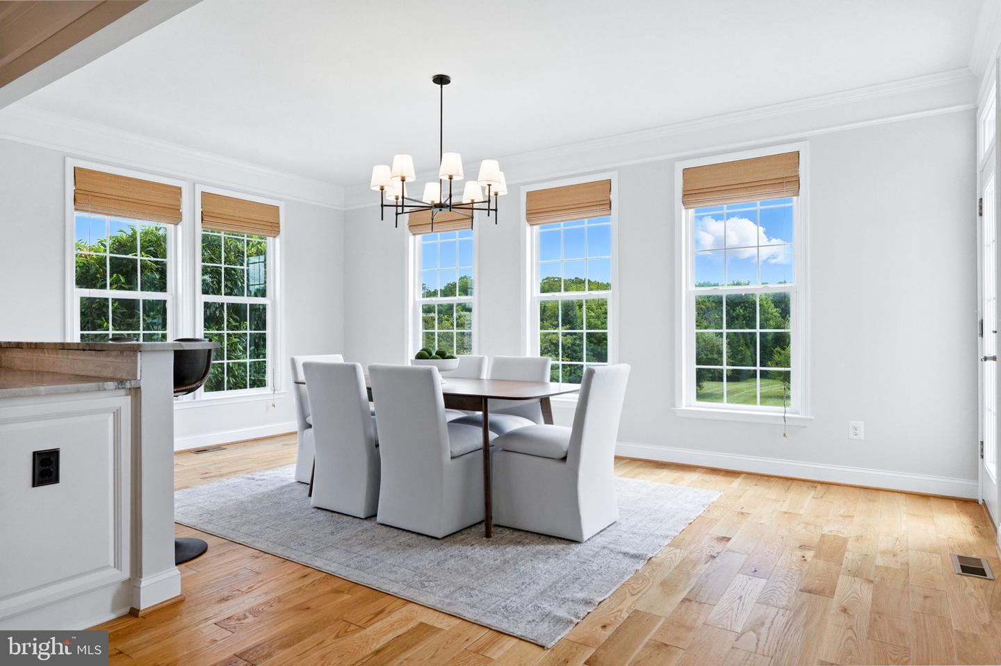 16588 LEVADE DR, LEESBURG, Virginia 20176, 5 Bedrooms Bedrooms, 10 Rooms Rooms,4 BathroomsBathrooms,Residential,For sale,16588 LEVADE DR,VALO2103756 MLS # VALO2103756
