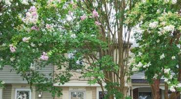 8549 BLACKFOOT CT, LORTON, Virginia 22079, 2 Bedrooms Bedrooms, ,1 BathroomBathrooms,Residential,For sale,8549 BLACKFOOT CT,VAFX2259604 MLS # VAFX2259604