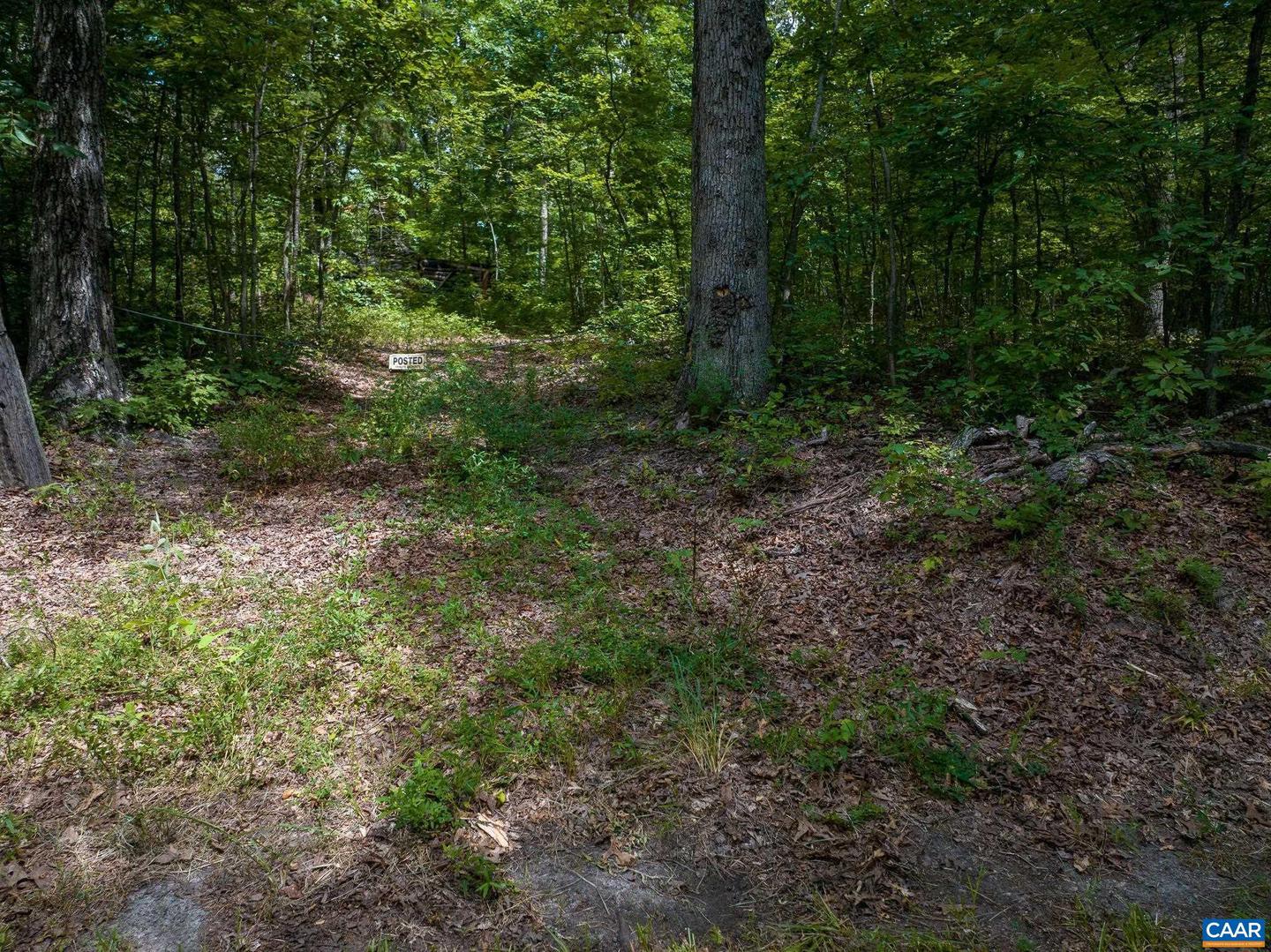 DOGWOOD DR, PALMYRA, Virginia 22963, ,Land,For sale,DOGWOOD DR,667955 MLS # 667955