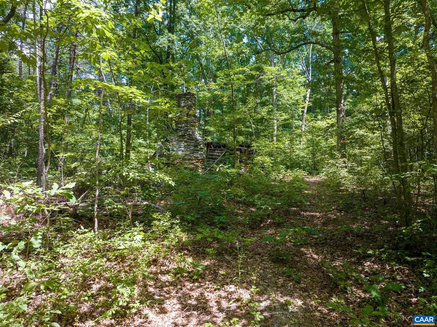 DOGWOOD DR, PALMYRA, Virginia 22963, ,Land,For sale,DOGWOOD DR,667955 MLS # 667955