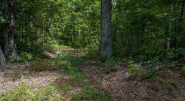 DOGWOOD DR, PALMYRA, Virginia 22963, ,Land,For sale,DOGWOOD DR,667955 MLS # 667955