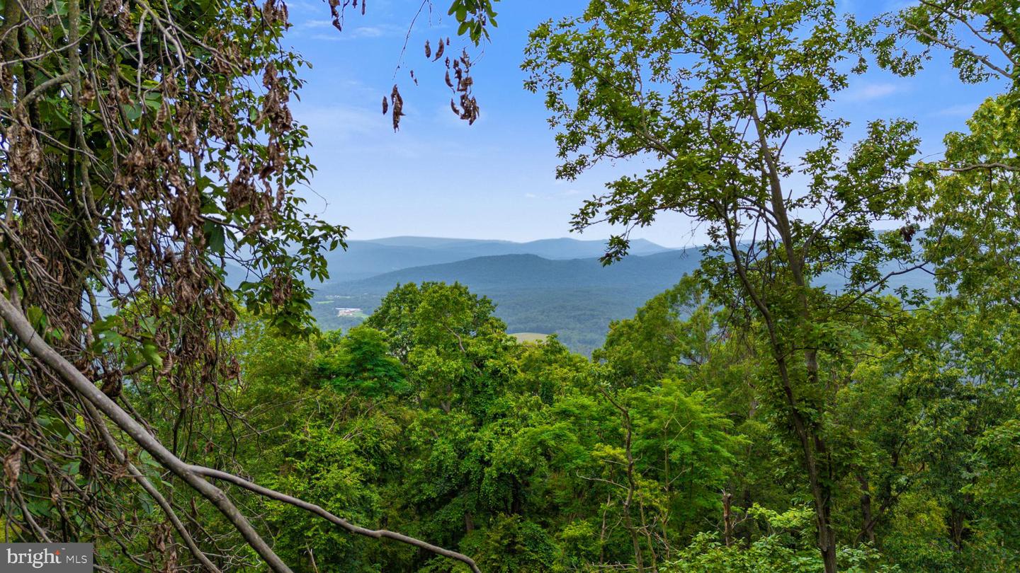 198 ACRES RUNIONS CREEK, BROADWAY, Virginia 22815, ,Farm,For sale,198 ACRES RUNIONS CREEK,VARO2002504 MLS # VARO2002504