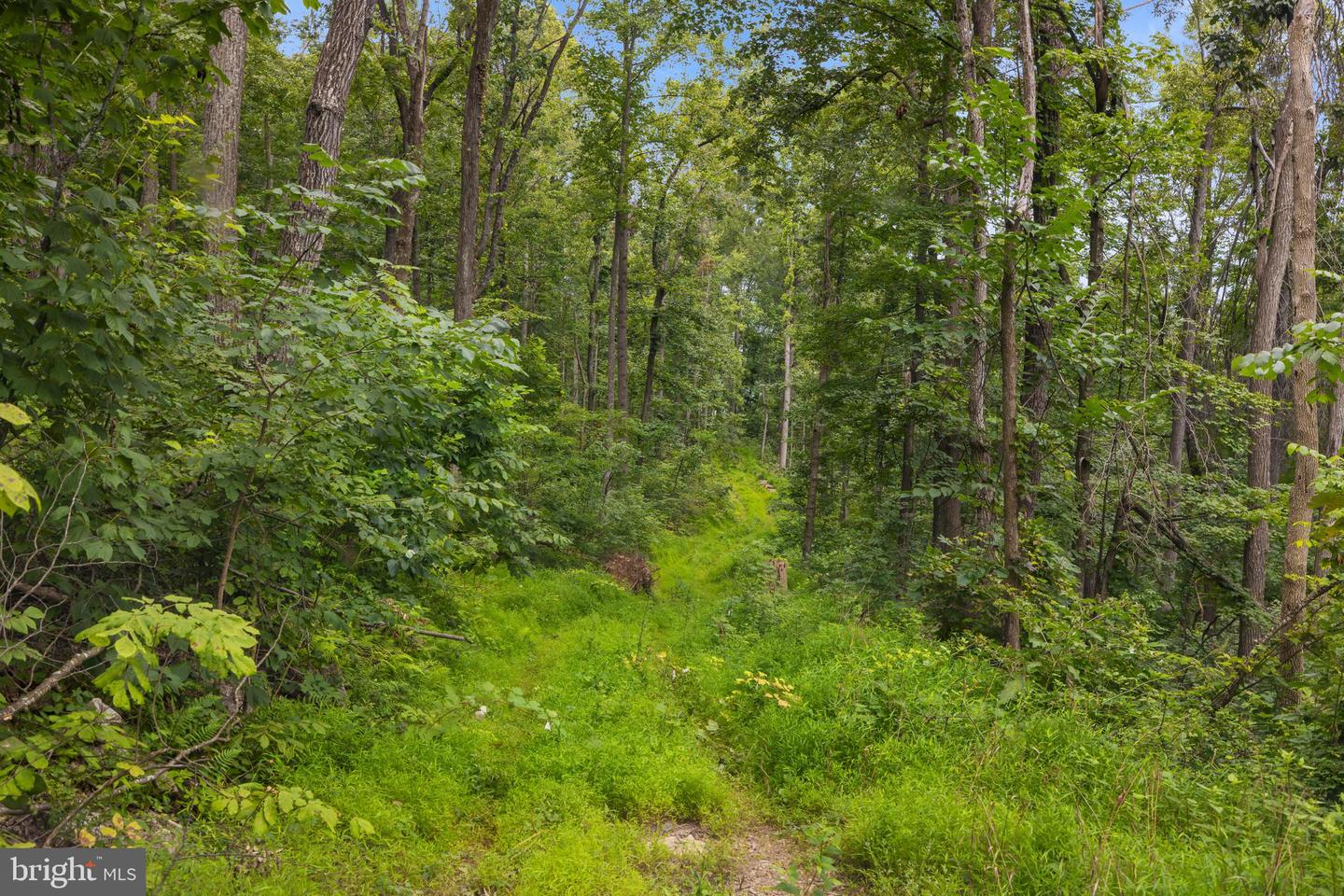 198 ACRES RUNIONS CREEK, BROADWAY, Virginia 22815, ,Farm,For sale,198 ACRES RUNIONS CREEK,VARO2002504 MLS # VARO2002504