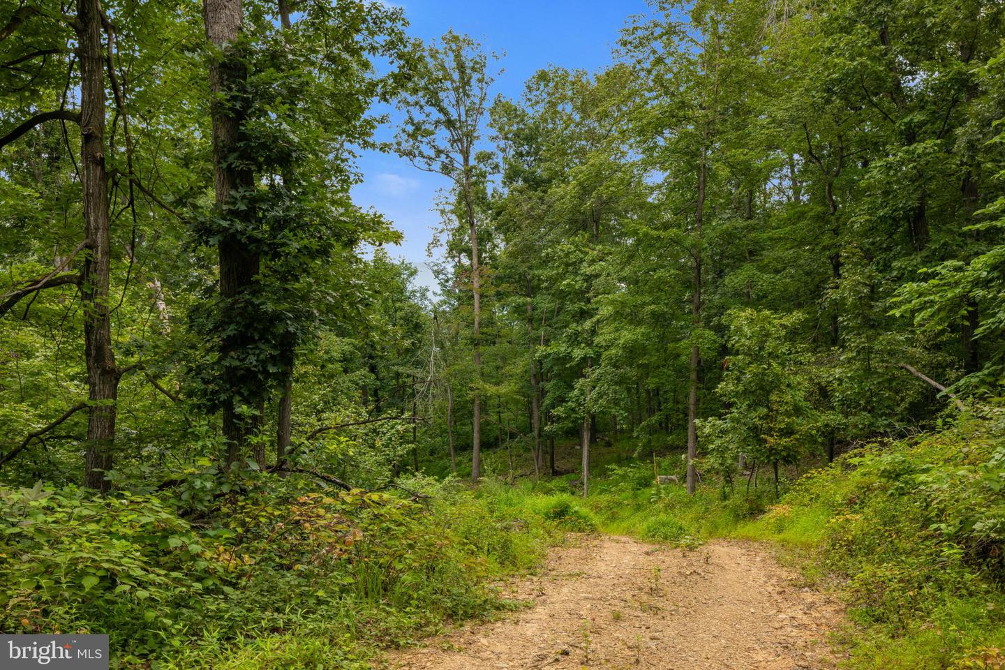 198 ACRES RUNIONS CREEK, BROADWAY, Virginia 22815, ,Farm,For sale,198 ACRES RUNIONS CREEK,VARO2002504 MLS # VARO2002504