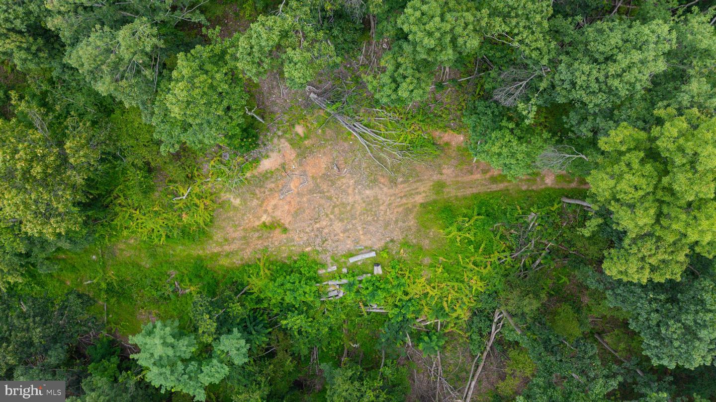 198 ACRES RUNIONS CREEK, BROADWAY, Virginia 22815, ,Farm,For sale,198 ACRES RUNIONS CREEK,VARO2002504 MLS # VARO2002504