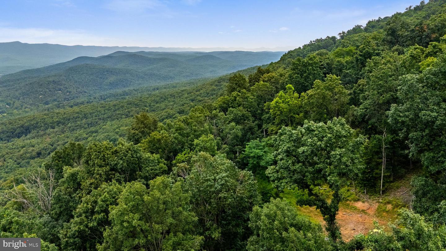 198 ACRES RUNIONS CREEK, BROADWAY, Virginia 22815, ,Farm,For sale,198 ACRES RUNIONS CREEK,VARO2002504 MLS # VARO2002504