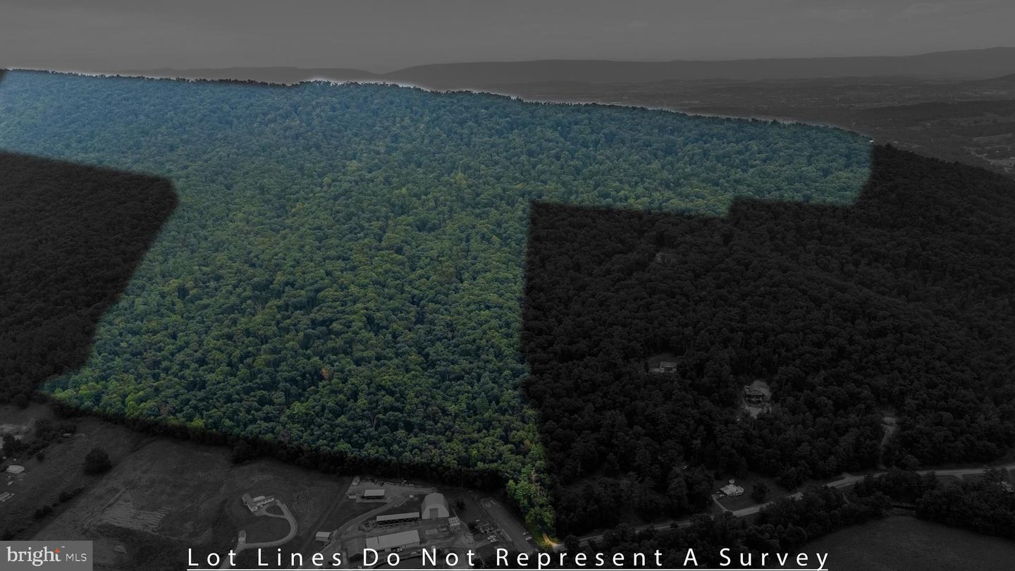 198 ACRES RUNIONS CREEK, BROADWAY, Virginia 22815, ,Farm,For sale,198 ACRES RUNIONS CREEK,VARO2002504 MLS # VARO2002504