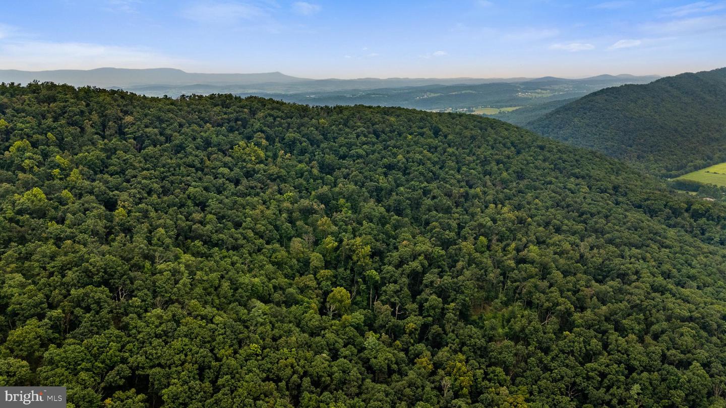 198 ACRES RUNIONS CREEK, BROADWAY, Virginia 22815, ,Farm,For sale,198 ACRES RUNIONS CREEK,VARO2002504 MLS # VARO2002504