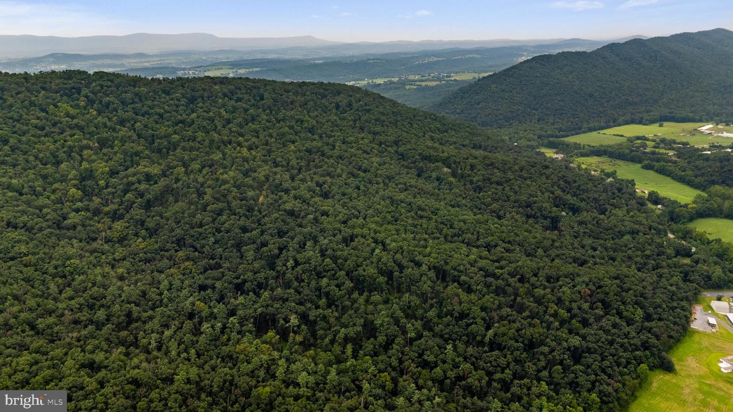 198 ACRES RUNIONS CREEK, BROADWAY, Virginia 22815, ,Farm,For sale,198 ACRES RUNIONS CREEK,VARO2002504 MLS # VARO2002504