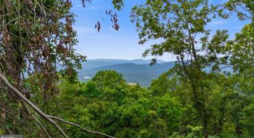 198 ACRES RUNIONS CREEK, BROADWAY, Virginia 22815, ,Farm,For sale,198 ACRES RUNIONS CREEK,VARO2002504 MLS # VARO2002504