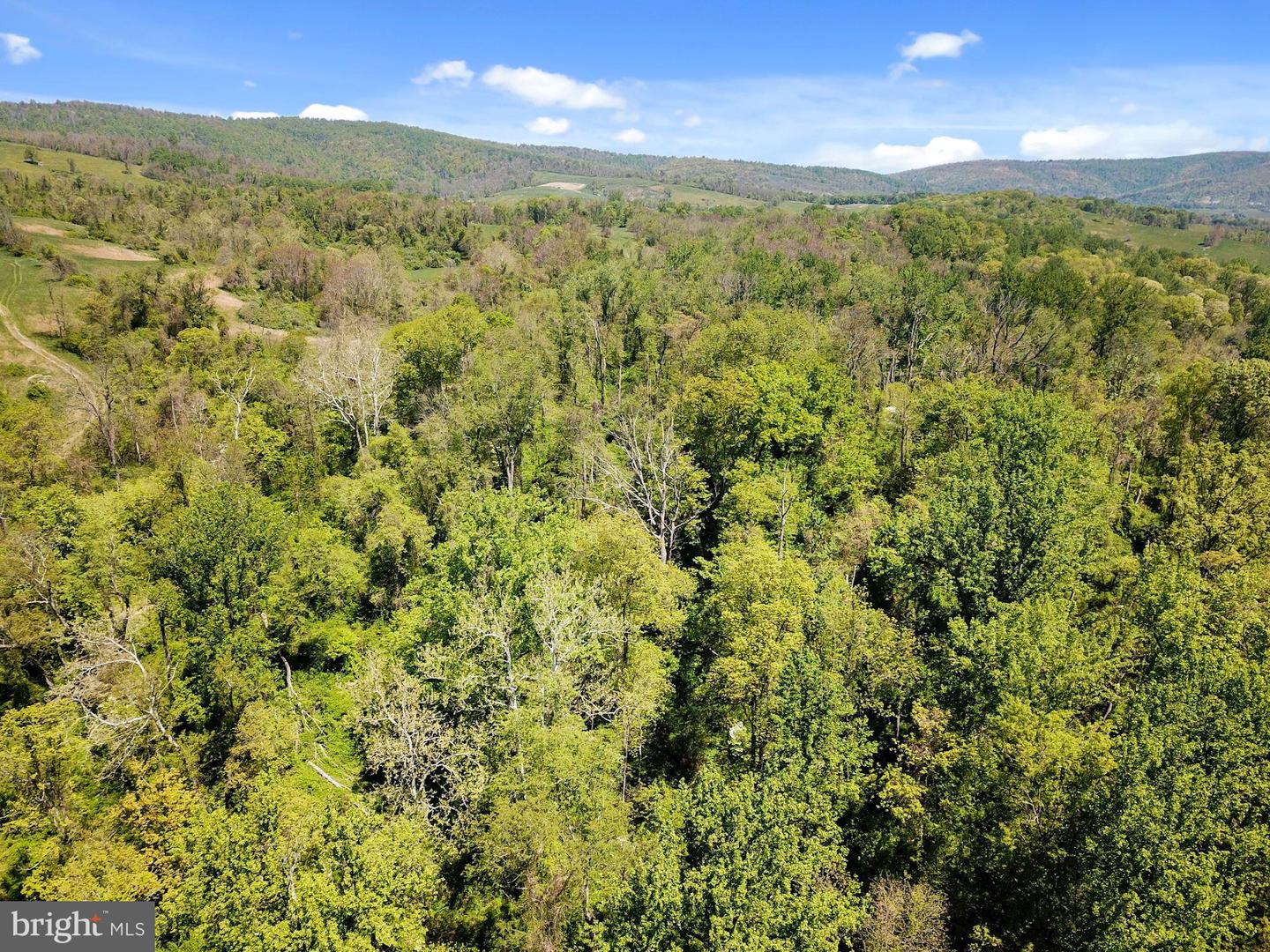 BLUE RIDGE - LEEDS MANOR ROAD, DELAPLANE, Virginia 20144, ,Land,For sale,BLUE RIDGE - LEEDS MANOR ROAD,VAFQ2017966 MLS # VAFQ2017966