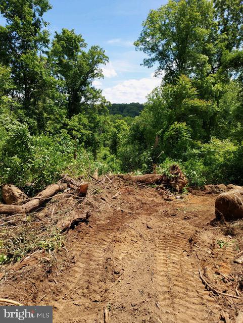 BLUE RIDGE - LEEDS MANOR ROAD, DELAPLANE, Virginia 20144, ,Land,For sale,BLUE RIDGE - LEEDS MANOR ROAD,VAFQ2017966 MLS # VAFQ2017966