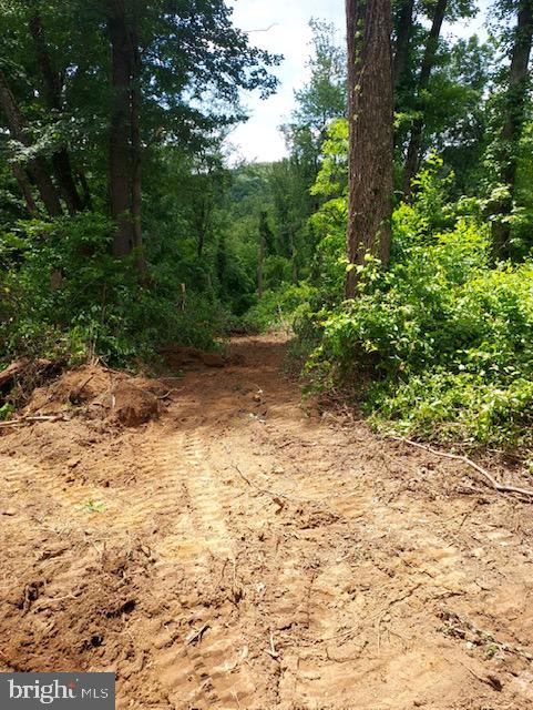 BLUE RIDGE - LEEDS MANOR ROAD, DELAPLANE, Virginia 20144, ,Land,For sale,BLUE RIDGE - LEEDS MANOR ROAD,VAFQ2017966 MLS # VAFQ2017966