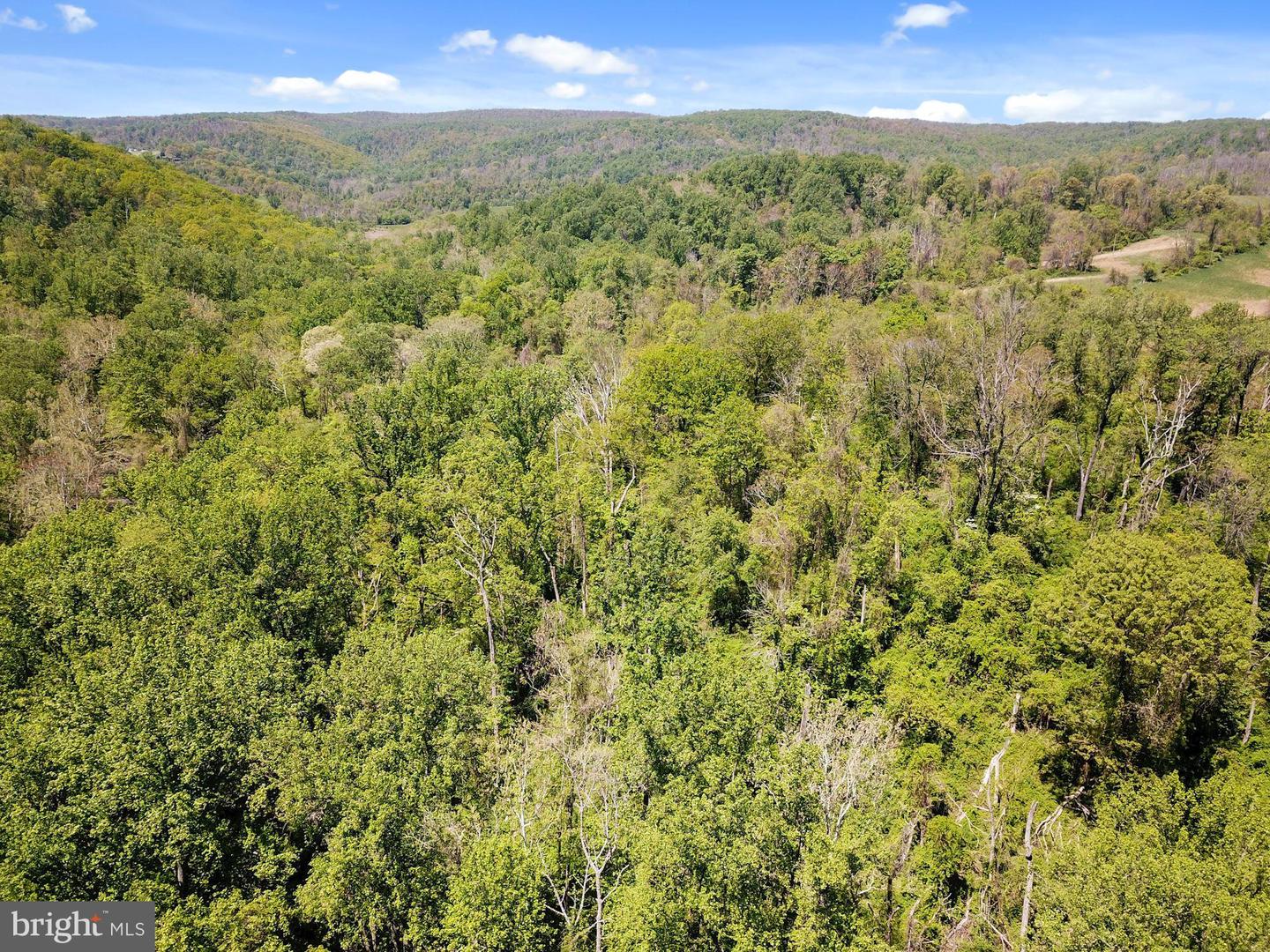 BLUE RIDGE - LEEDS MANOR ROAD, DELAPLANE, Virginia 20144, ,Land,For sale,BLUE RIDGE - LEEDS MANOR ROAD,VAFQ2017966 MLS # VAFQ2017966