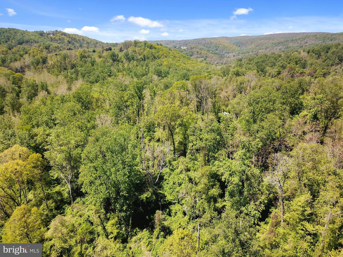 BLUE RIDGE - LEEDS MANOR ROAD, DELAPLANE, Virginia 20144, ,Land,For sale,BLUE RIDGE - LEEDS MANOR ROAD,VAFQ2017966 MLS # VAFQ2017966