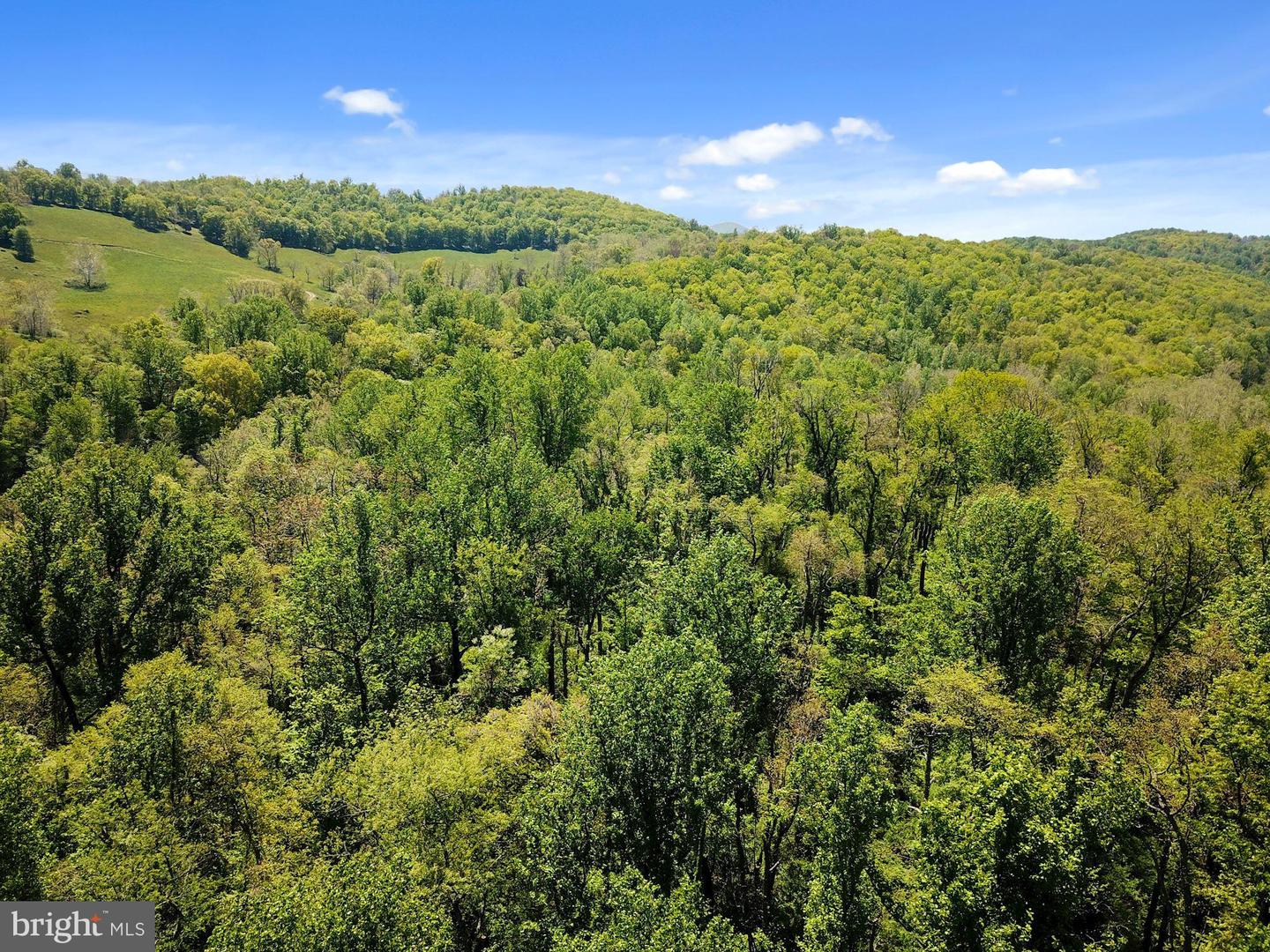 BLUE RIDGE - LEEDS MANOR ROAD, DELAPLANE, Virginia 20144, ,Land,For sale,BLUE RIDGE - LEEDS MANOR ROAD,VAFQ2017966 MLS # VAFQ2017966