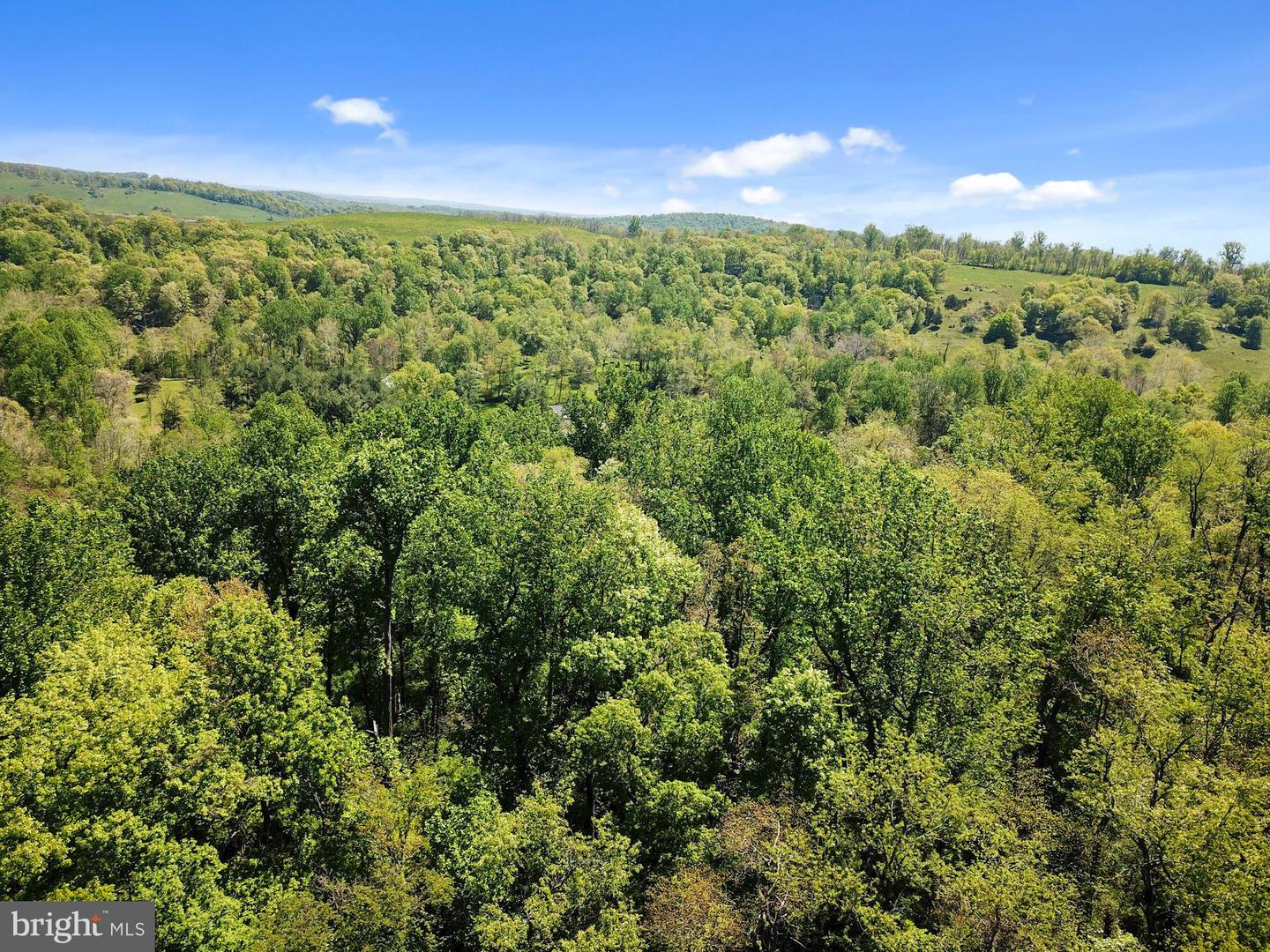 BLUE RIDGE - LEEDS MANOR ROAD, DELAPLANE, Virginia 20144, ,Land,For sale,BLUE RIDGE - LEEDS MANOR ROAD,VAFQ2017966 MLS # VAFQ2017966