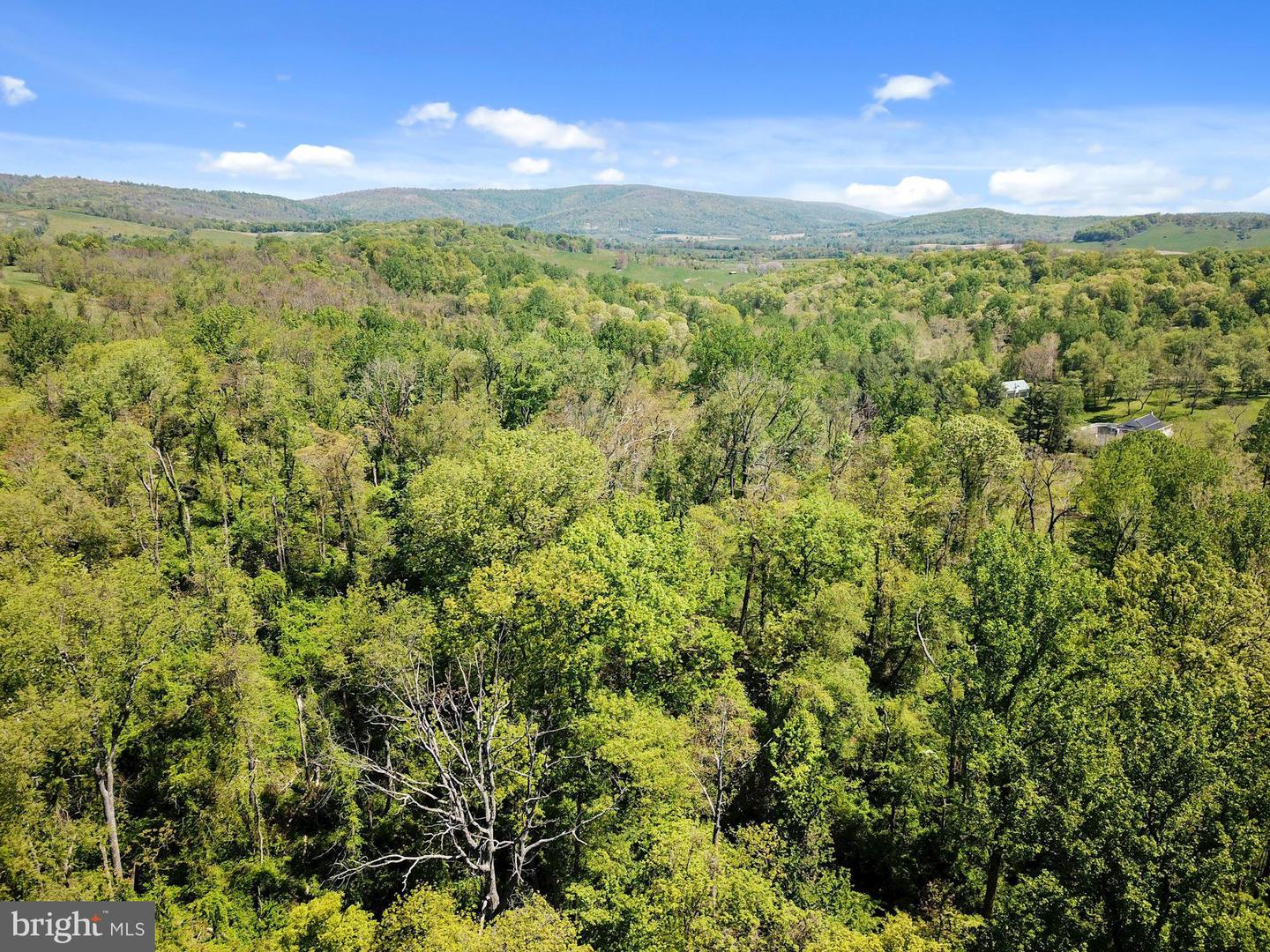 BLUE RIDGE - LEEDS MANOR ROAD, DELAPLANE, Virginia 20144, ,Land,For sale,BLUE RIDGE - LEEDS MANOR ROAD,VAFQ2017966 MLS # VAFQ2017966