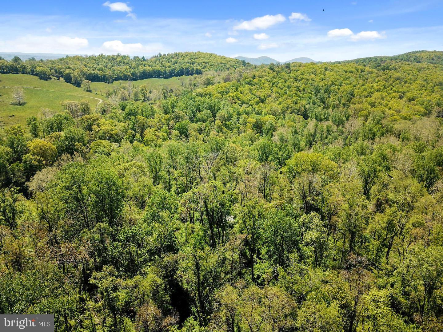 BLUE RIDGE - LEEDS MANOR ROAD, DELAPLANE, Virginia 20144, ,Land,For sale,BLUE RIDGE - LEEDS MANOR ROAD,VAFQ2017966 MLS # VAFQ2017966