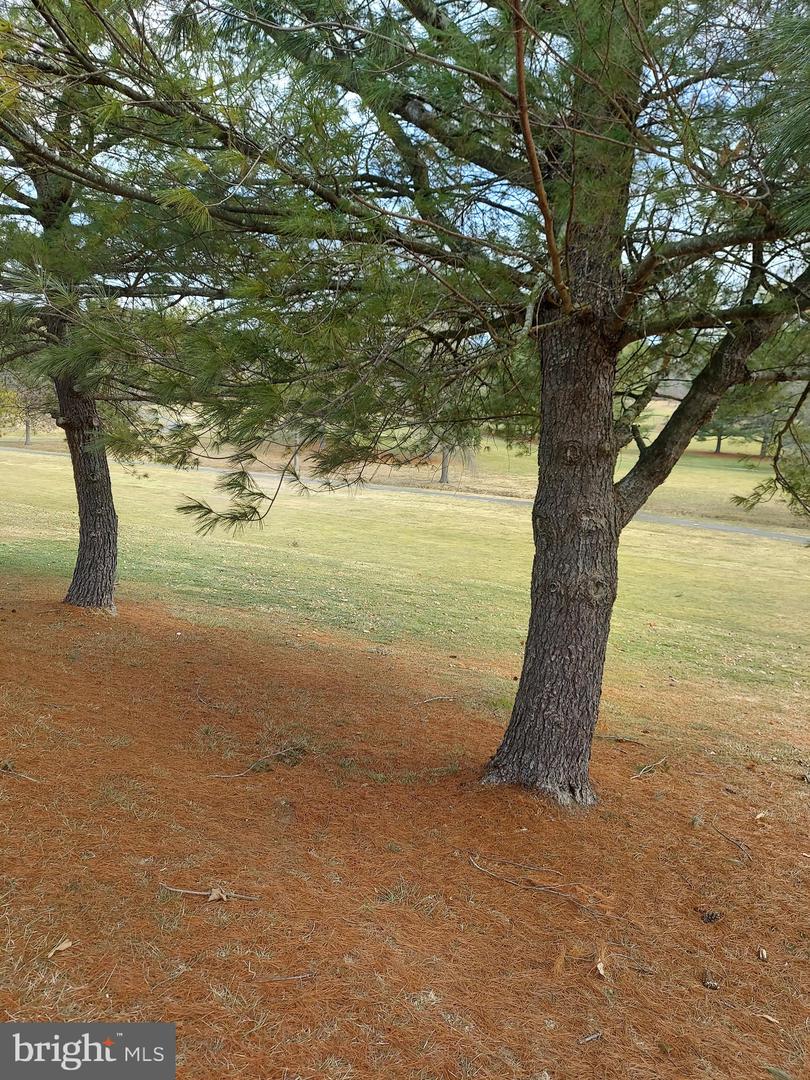 0 BOWLING GREEN ROAD, FRONT ROYAL, Virginia 22630, ,Land,For sale,0 BOWLING GREEN ROAD,VAWR2012010 MLS # VAWR2012010
