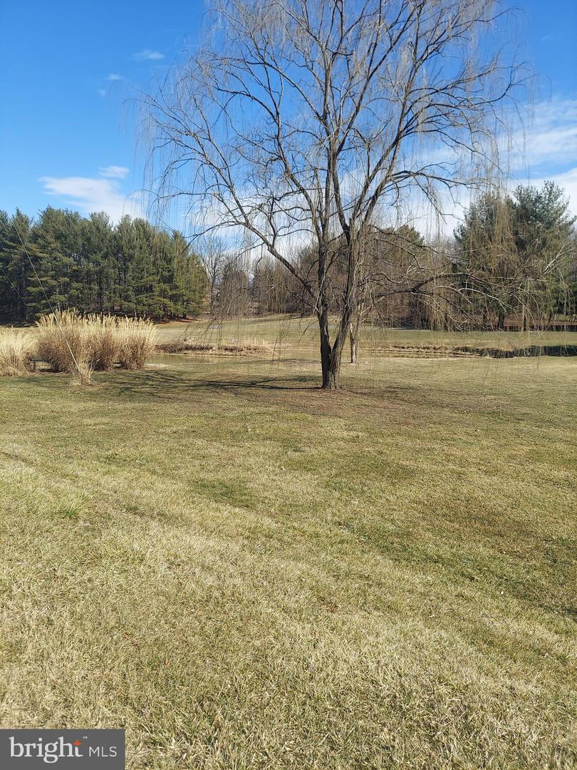 0 BOWLING GREEN ROAD, FRONT ROYAL, Virginia 22630, ,Land,For sale,0 BOWLING GREEN ROAD,VAWR2012010 MLS # VAWR2012010