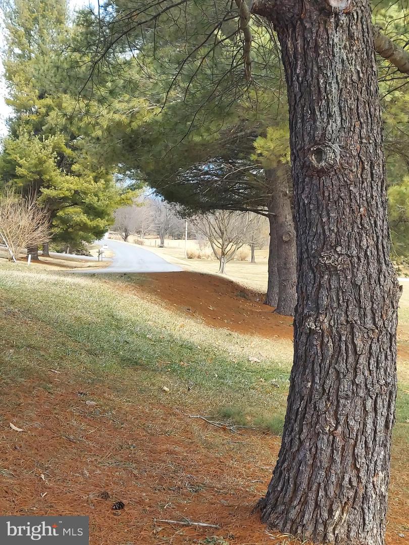 0 BOWLING GREEN ROAD, FRONT ROYAL, Virginia 22630, ,Land,For sale,0 BOWLING GREEN ROAD,VAWR2012012 MLS # VAWR2012012