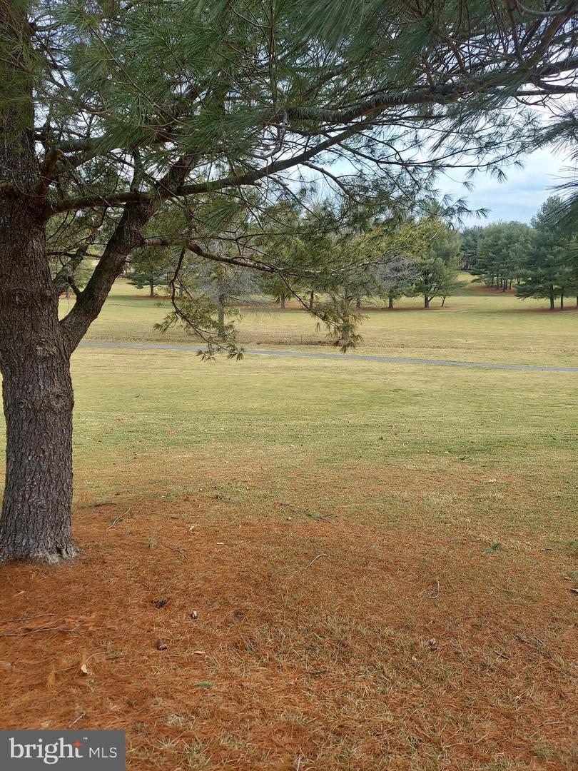 0 BOWLING GREEN ROAD, FRONT ROYAL, Virginia 22630, ,Land,For sale,0 BOWLING GREEN ROAD,VAWR2012012 MLS # VAWR2012012