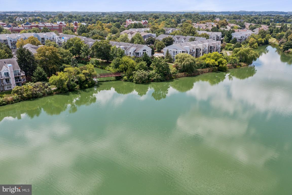 20594 CORNSTALK TER #201, ASHBURN, Virginia 20147, 2 Bedrooms Bedrooms, ,2 BathroomsBathrooms,Residential,For sale,20594 CORNSTALK TER #201,VALO2104632 MLS # VALO2104632