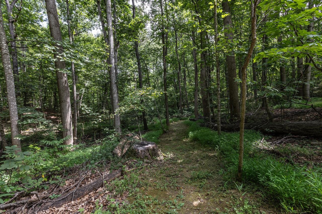 3839 RIDGELINE DR, ROCKINGHAM, Virginia 22802, 4 Bedrooms Bedrooms, ,2 BathroomsBathrooms,Residential,3839 RIDGELINE DR,667978 MLS # 667978