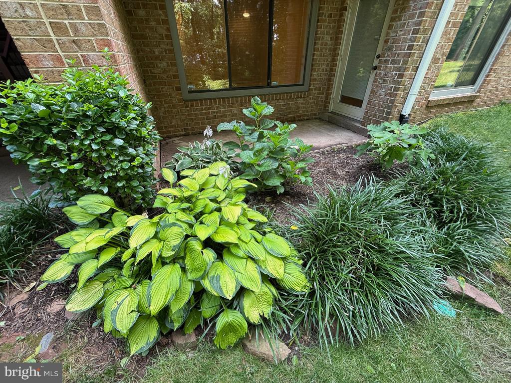 8393 BUTTRESS LN #101, MANASSAS, Virginia 20110, 1 Bedroom Bedrooms, 5 Rooms Rooms,1 BathroomBathrooms,Residential,For sale,8393 BUTTRESS LN #101,VAMN2009070 MLS # VAMN2009070