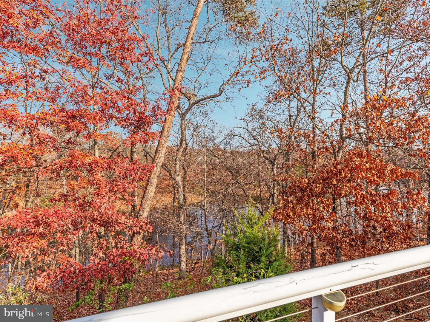 142 RUFFED GROUSE CT, LAKE FREDERICK, Virginia 22630, 3 Bedrooms Bedrooms, ,3 BathroomsBathrooms,Residential,For sale,142 RUFFED GROUSE CT,VAFV2036030 MLS # VAFV2036030