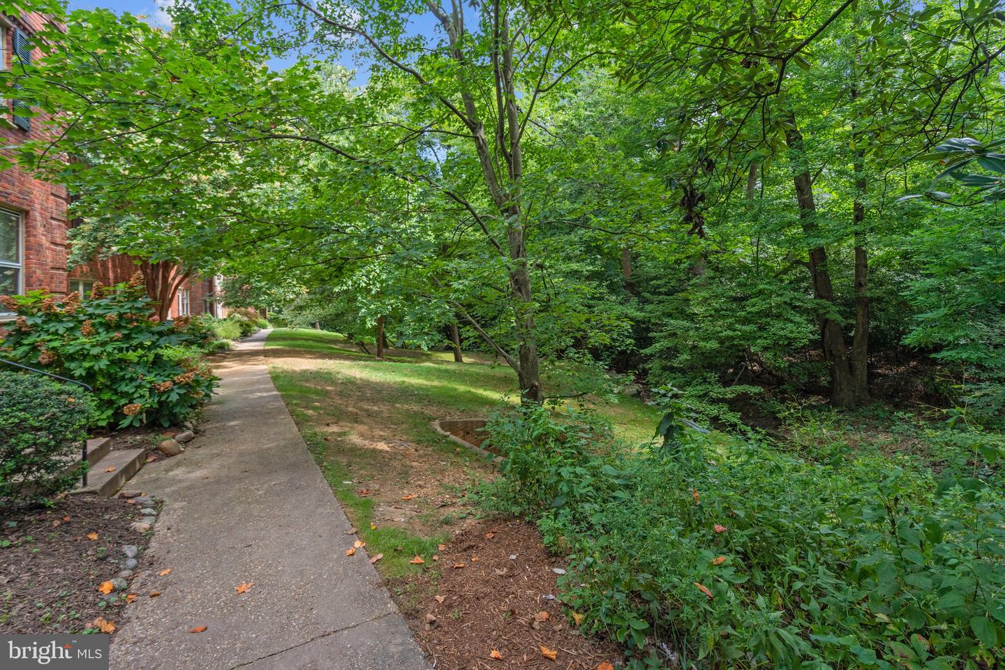 1415 S EDGEWOOD ST #463, ARLINGTON, Virginia 22204, 1 Bedroom Bedrooms, ,1 BathroomBathrooms,Residential,For sale,1415 S EDGEWOOD ST #463,VAAR2062154 MLS # VAAR2062154