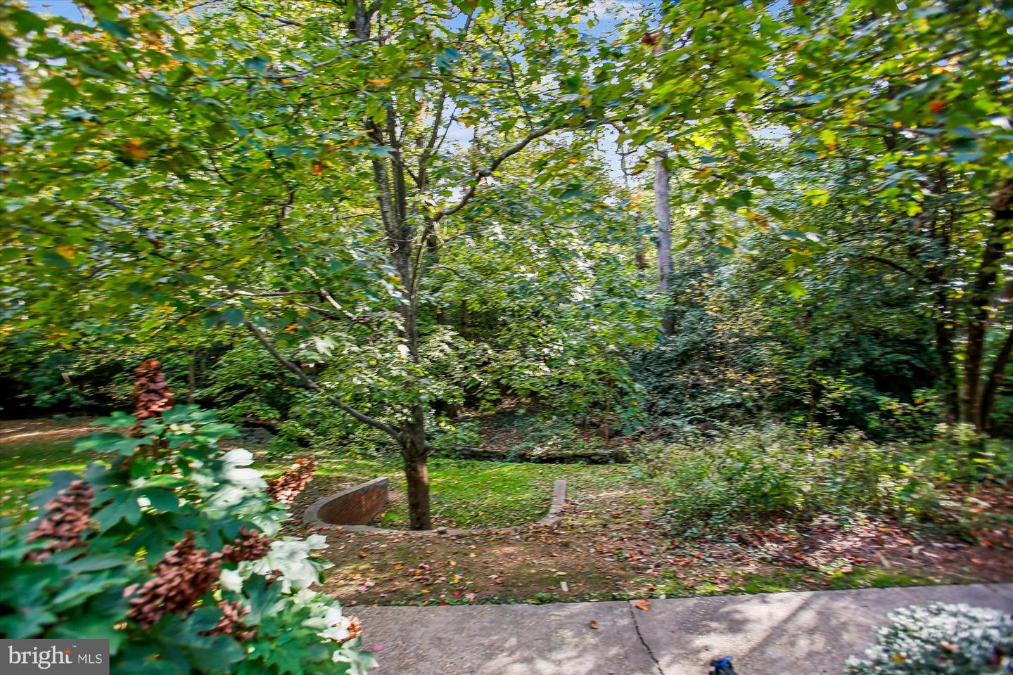 1415 S EDGEWOOD ST #463, ARLINGTON, Virginia 22204, 1 Bedroom Bedrooms, ,1 BathroomBathrooms,Residential,For sale,1415 S EDGEWOOD ST #463,VAAR2062154 MLS # VAAR2062154 1415 S EDGEWOOD ST #463, ARLINGTON, Virginia 22204, 1 Bedroom Bedrooms, ,1 BathroomBathrooms,Residential,For sale,1415 S EDGEWOOD ST #463,VAAR2062154 MLS # VAAR2062154