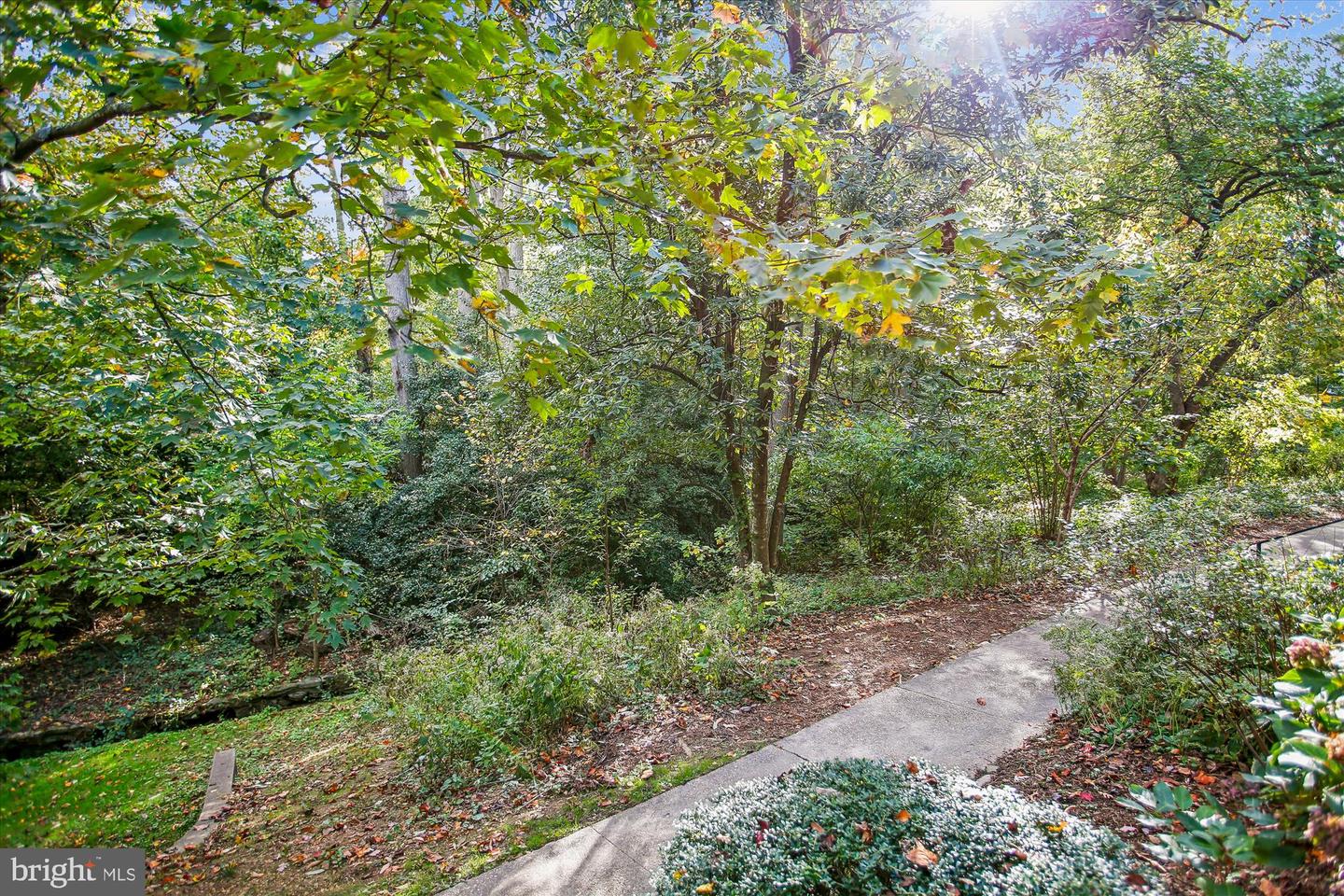 1415 S EDGEWOOD ST #463, ARLINGTON, Virginia 22204, 1 Bedroom Bedrooms, ,1 BathroomBathrooms,Residential,For sale,1415 S EDGEWOOD ST #463,VAAR2062154 MLS # VAAR2062154 1415 S EDGEWOOD ST #463, ARLINGTON, Virginia 22204, 1 Bedroom Bedrooms, ,1 BathroomBathrooms,Residential,For sale,1415 S EDGEWOOD ST #463,VAAR2062154 MLS # VAAR2062154