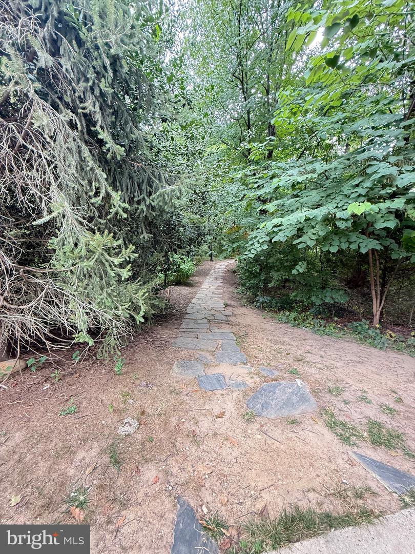 1415 S EDGEWOOD ST #463, ARLINGTON, Virginia 22204, 1 Bedroom Bedrooms, ,1 BathroomBathrooms,Residential,For sale,1415 S EDGEWOOD ST #463,VAAR2062154 MLS # VAAR2062154 1415 S EDGEWOOD ST #463, ARLINGTON, Virginia 22204, 1 Bedroom Bedrooms, ,1 BathroomBathrooms,Residential,For sale,1415 S EDGEWOOD ST #463,VAAR2062154 MLS # VAAR2062154