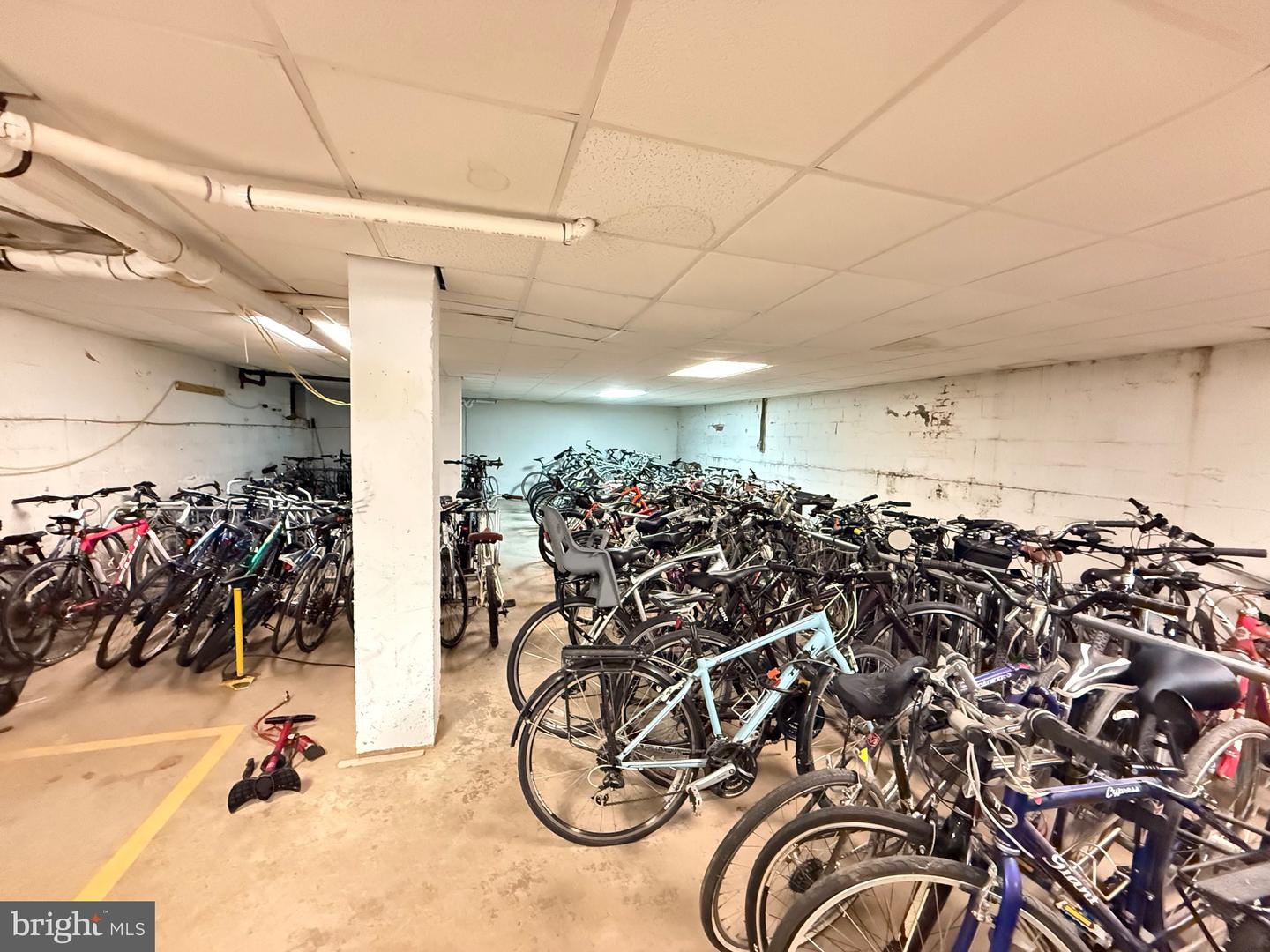 1415 S EDGEWOOD ST #463, ARLINGTON, Virginia 22204, 1 Bedroom Bedrooms, ,1 BathroomBathrooms,Residential,For sale,1415 S EDGEWOOD ST #463,VAAR2062154 MLS # VAAR2062154 1415 S EDGEWOOD ST #463, ARLINGTON, Virginia 22204, 1 Bedroom Bedrooms, ,1 BathroomBathrooms,Residential,For sale,1415 S EDGEWOOD ST #463,VAAR2062154 MLS # VAAR2062154