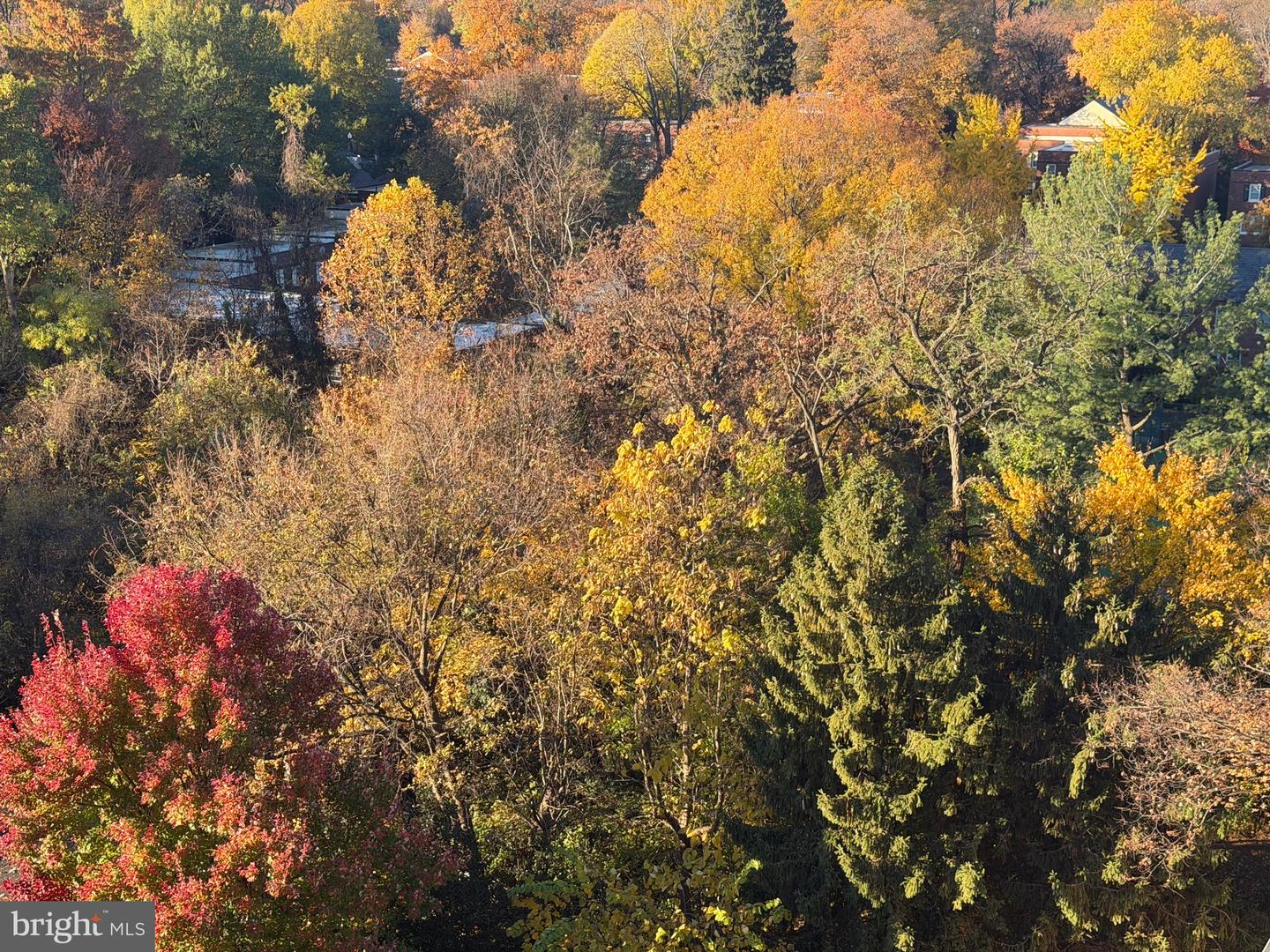 1415 S EDGEWOOD ST #463, ARLINGTON, Virginia 22204, 1 Bedroom Bedrooms, ,1 BathroomBathrooms,Residential,For sale,1415 S EDGEWOOD ST #463,VAAR2062154 MLS # VAAR2062154 1415 S EDGEWOOD ST #463, ARLINGTON, Virginia 22204, 1 Bedroom Bedrooms, ,1 BathroomBathrooms,Residential,For sale,1415 S EDGEWOOD ST #463,VAAR2062154 MLS # VAAR2062154