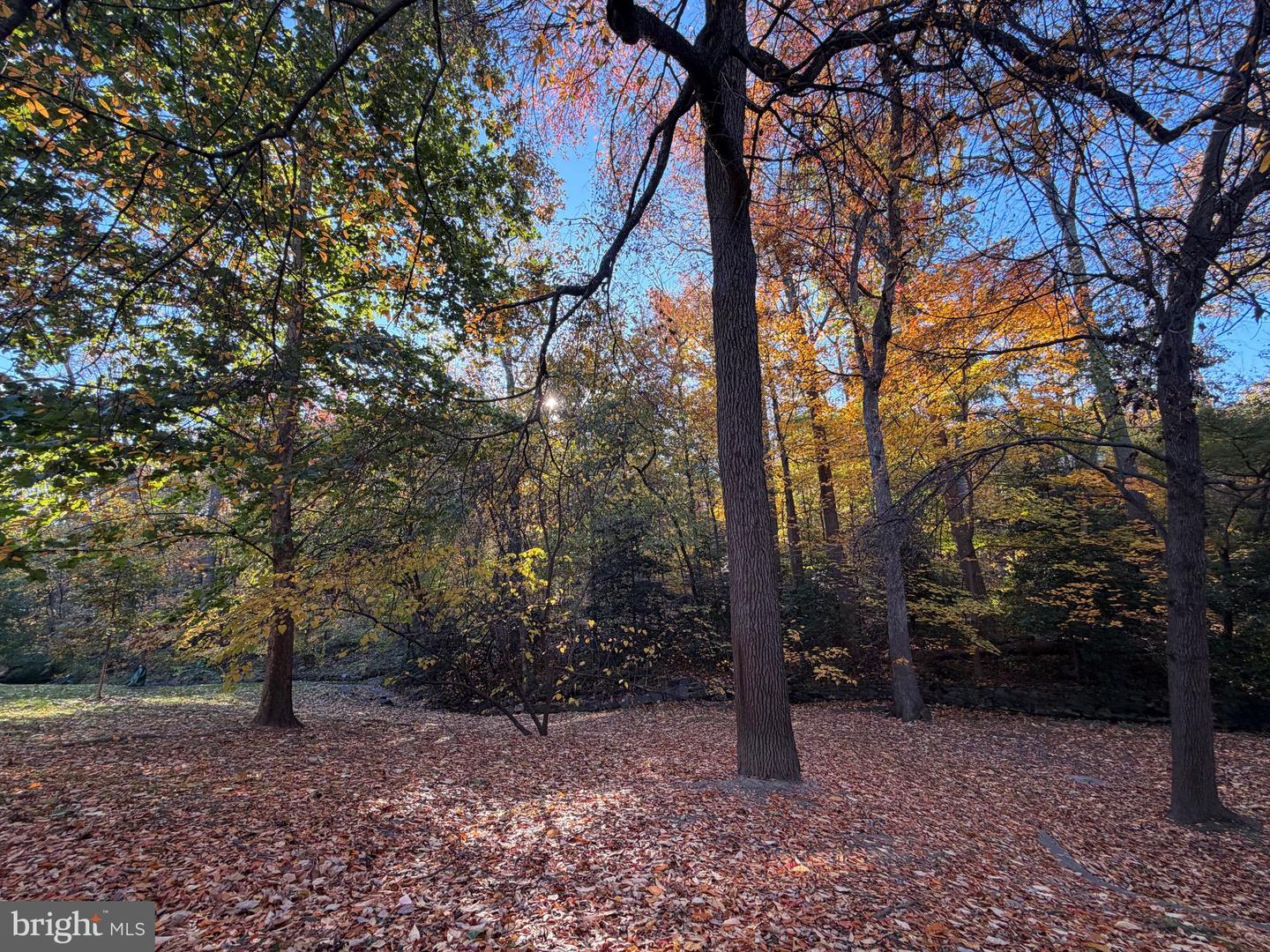 1415 S EDGEWOOD ST #463, ARLINGTON, Virginia 22204, 1 Bedroom Bedrooms, ,1 BathroomBathrooms,Residential,For sale,1415 S EDGEWOOD ST #463,VAAR2062154 MLS # VAAR2062154 1415 S EDGEWOOD ST #463, ARLINGTON, Virginia 22204, 1 Bedroom Bedrooms, ,1 BathroomBathrooms,Residential,For sale,1415 S EDGEWOOD ST #463,VAAR2062154 MLS # VAAR2062154