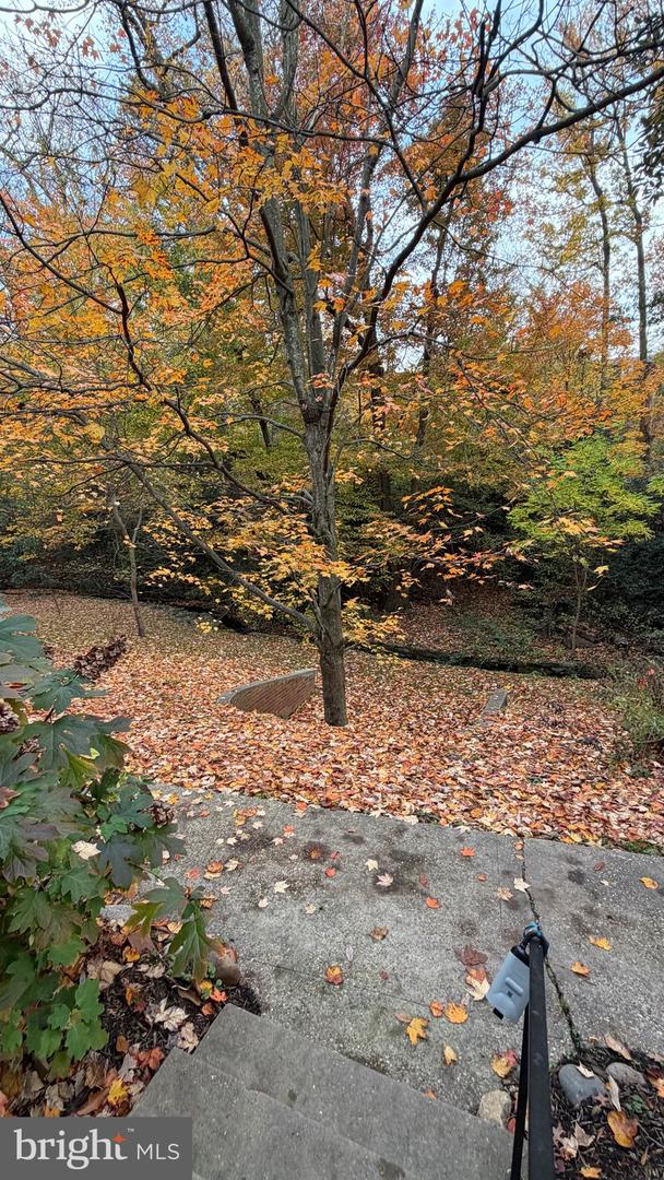 1415 S EDGEWOOD ST #463, ARLINGTON, Virginia 22204, 1 Bedroom Bedrooms, ,1 BathroomBathrooms,Residential,For sale,1415 S EDGEWOOD ST #463,VAAR2062154 MLS # VAAR2062154 1415 S EDGEWOOD ST #463, ARLINGTON, Virginia 22204, 1 Bedroom Bedrooms, ,1 BathroomBathrooms,Residential,For sale,1415 S EDGEWOOD ST #463,VAAR2062154 MLS # VAAR2062154