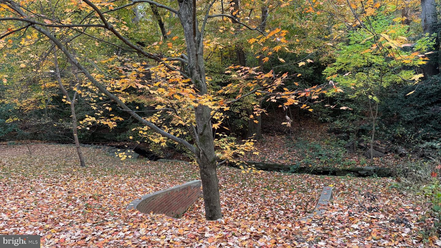 1415 S EDGEWOOD ST #463, ARLINGTON, Virginia 22204, 1 Bedroom Bedrooms, ,1 BathroomBathrooms,Residential,For sale,1415 S EDGEWOOD ST #463,VAAR2062154 MLS # VAAR2062154 1415 S EDGEWOOD ST #463, ARLINGTON, Virginia 22204, 1 Bedroom Bedrooms, ,1 BathroomBathrooms,Residential,For sale,1415 S EDGEWOOD ST #463,VAAR2062154 MLS # VAAR2062154