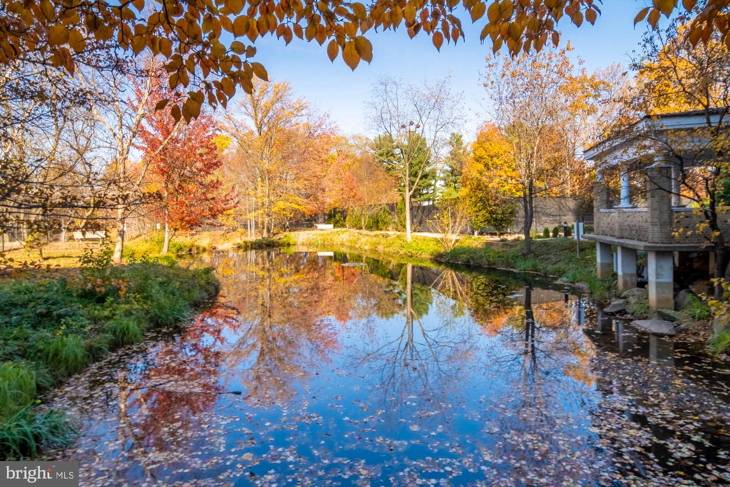 8340 GREENSBORO DR #302, MCLEAN, Virginia 22102, 1 Bedroom Bedrooms, ,1 BathroomBathrooms,Residential,For sale,8340 GREENSBORO DR #302,VAFX2261314 MLS # VAFX2261314