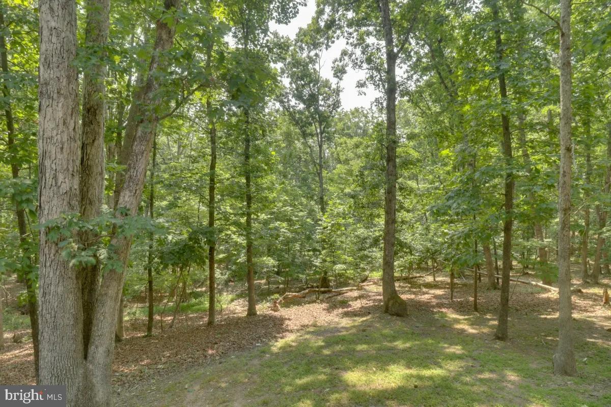 149 HOLIDAY HL, MCGAHEYSVILLE, Virginia 22840, 4 Bedrooms Bedrooms, 11 Rooms Rooms,3 BathroomsBathrooms,Residential,For sale,149 HOLIDAY HL,VARO2002496 MLS # VARO2002496