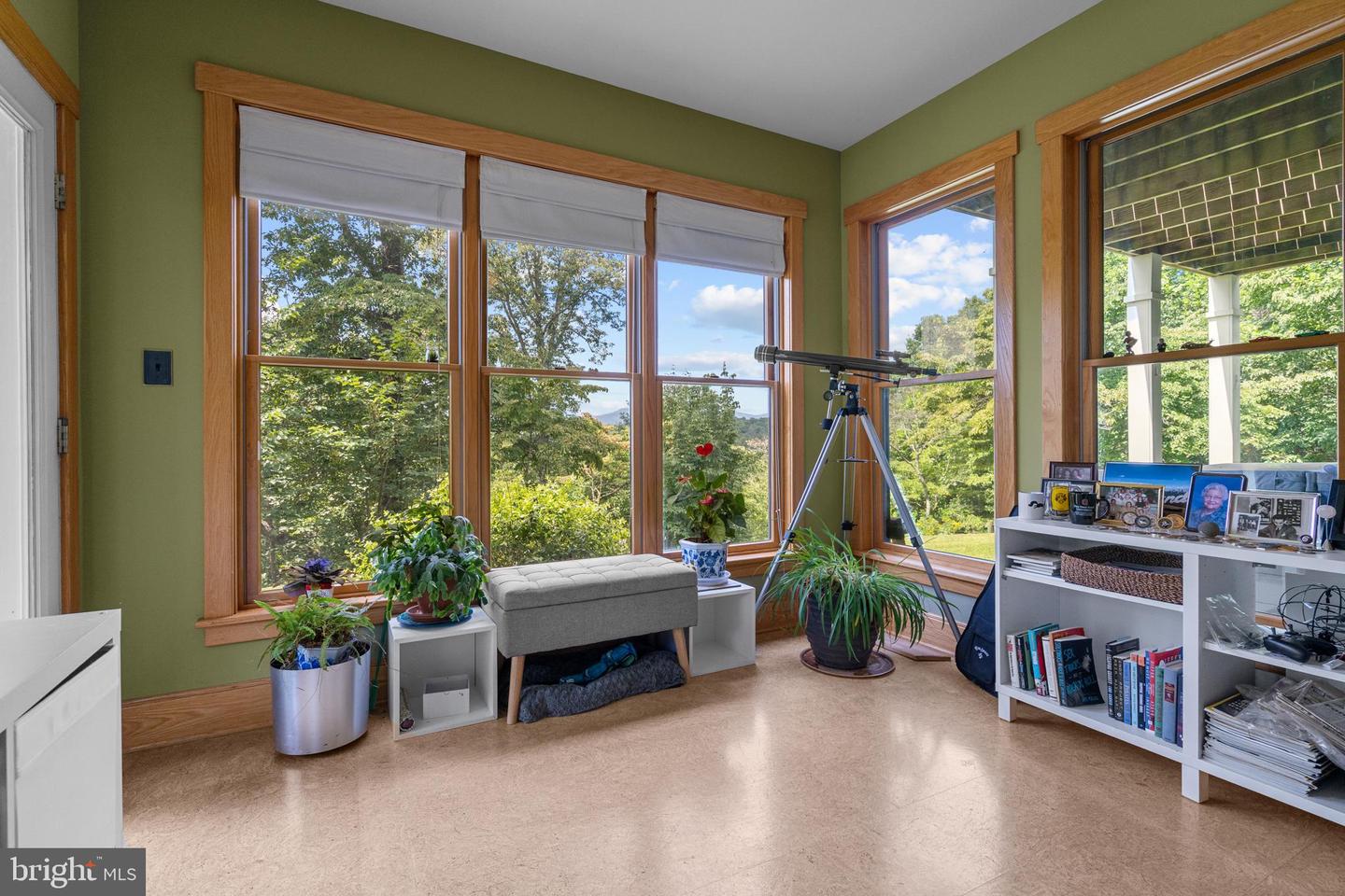 210 GRAND VIEW RD, WASHINGTON, Virginia 22747, 3 Bedrooms Bedrooms, ,4 BathroomsBathrooms,Residential,For sale,210 GRAND VIEW RD,VARP2002226 MLS # VARP2002226